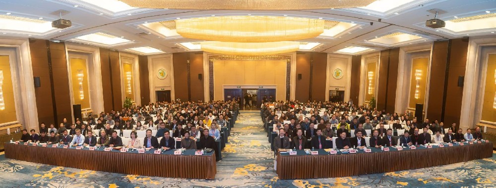 ���μ��š�ag8(�й���)����-ֻ���ͬ����